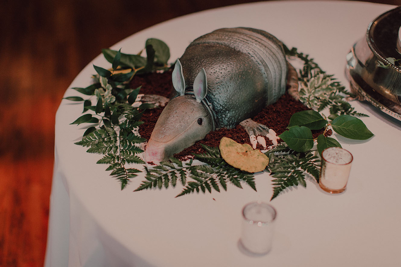 Armadillo Groom's Cake