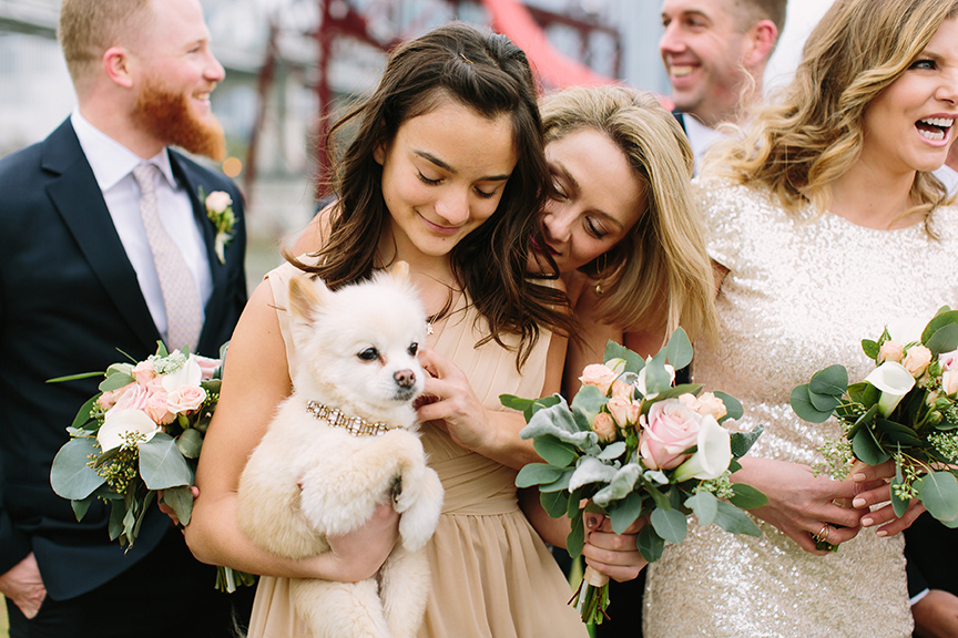 Bridesmaid Holding Pomeranian