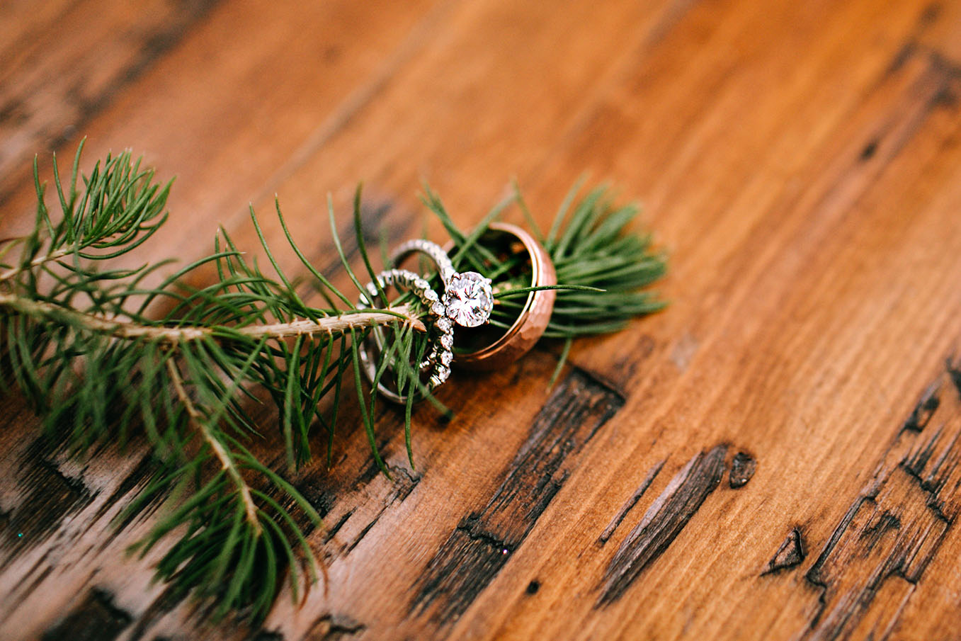 Kendra and Logan's Wedding Rings on Pine Tree Branch