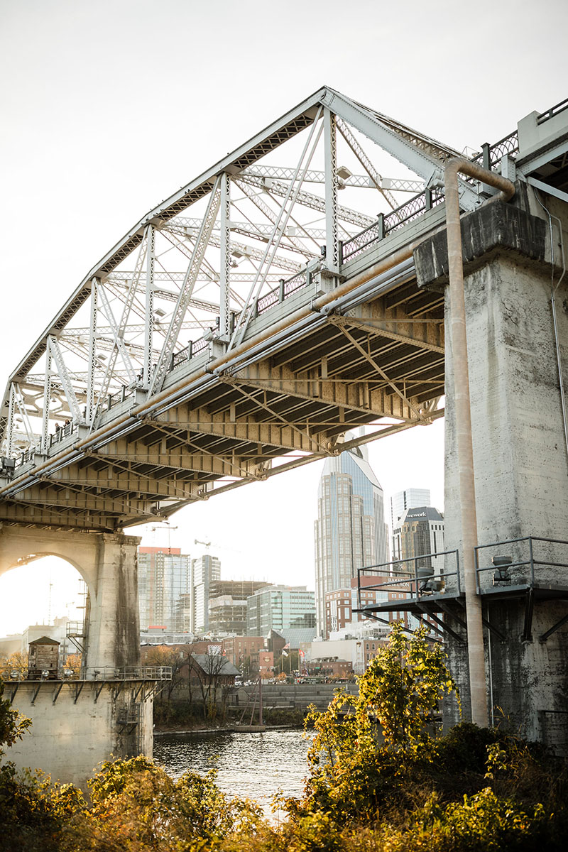 The Pedestrian Bridge