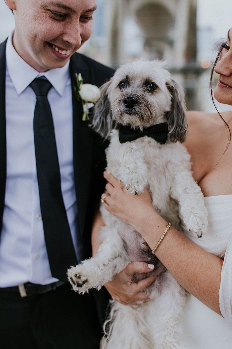 Megan and Michael's Dog