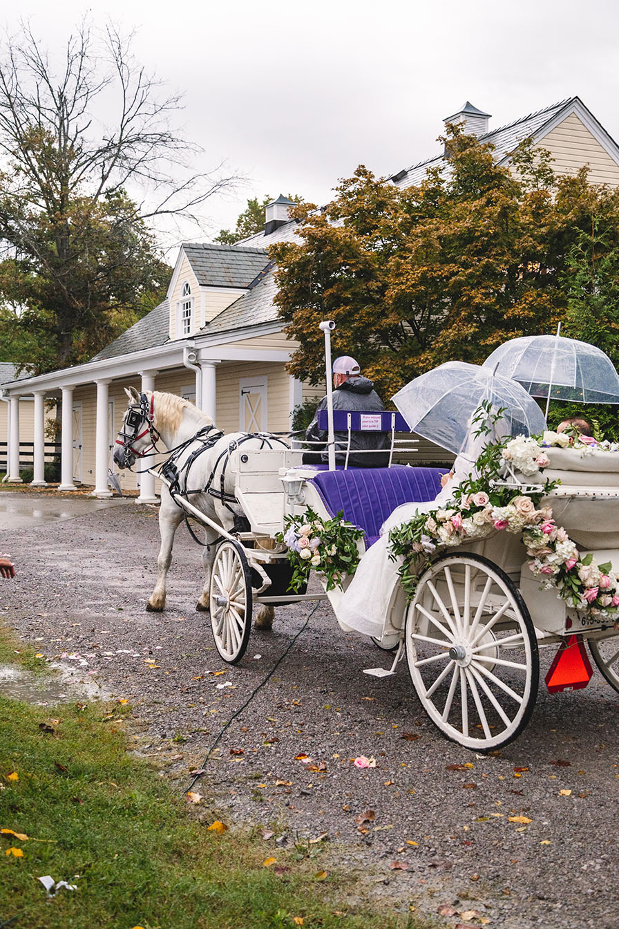 Carriage Ride into Wedding Ceremony