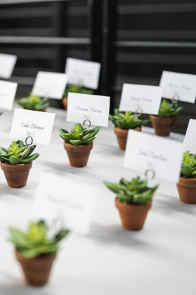 Succulent wedding favor escort cards