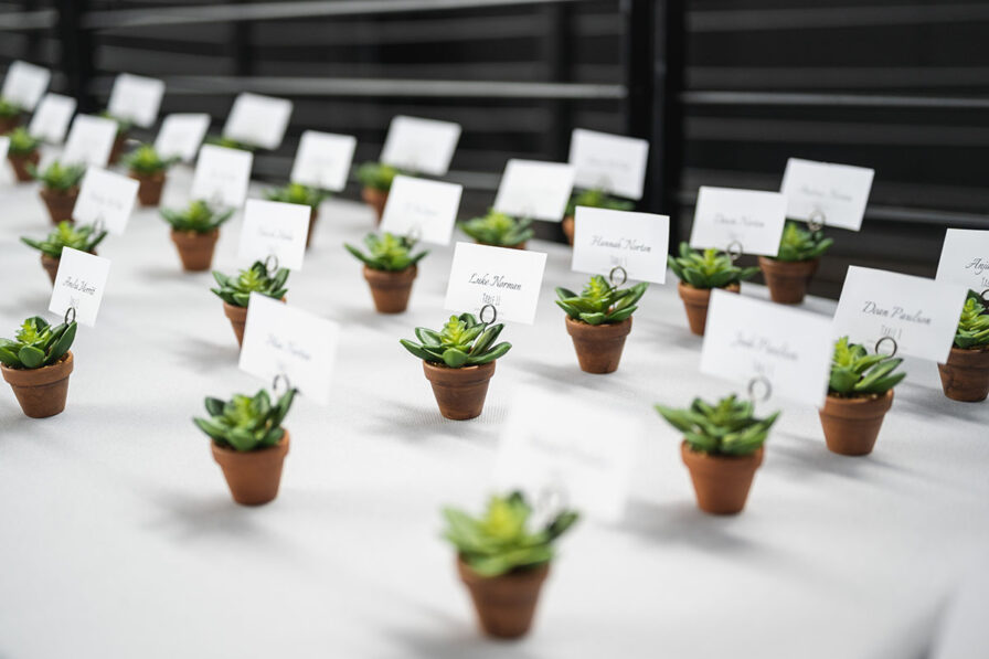 Succulent wedding favor escort cards